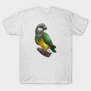 Bird - Senegal Parrow - Yellow Bellied T-Shirt